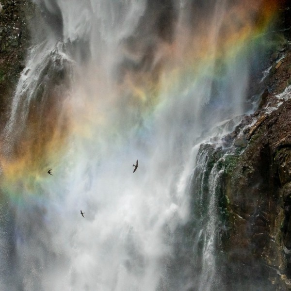 虹と滝と岩つばめ