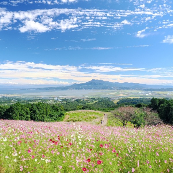 白木峰高原