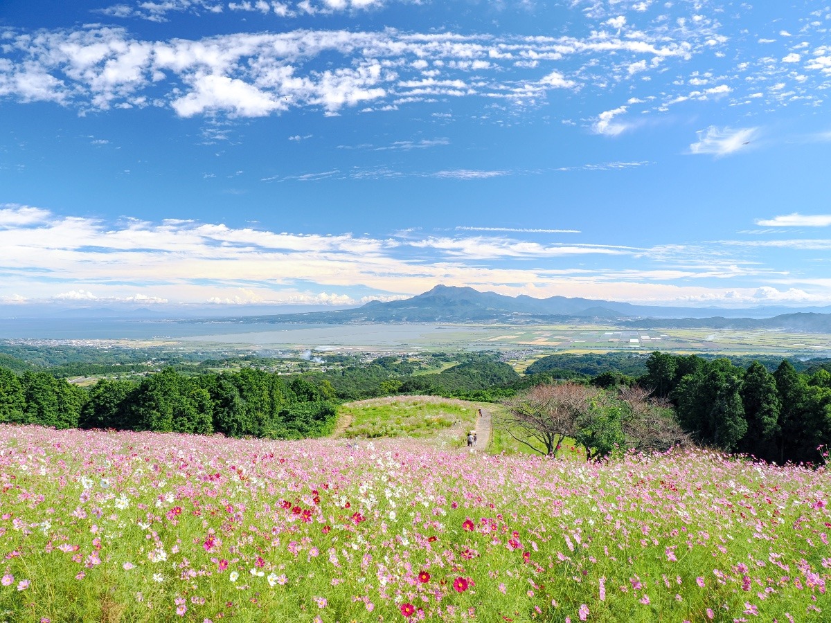白木峰高原