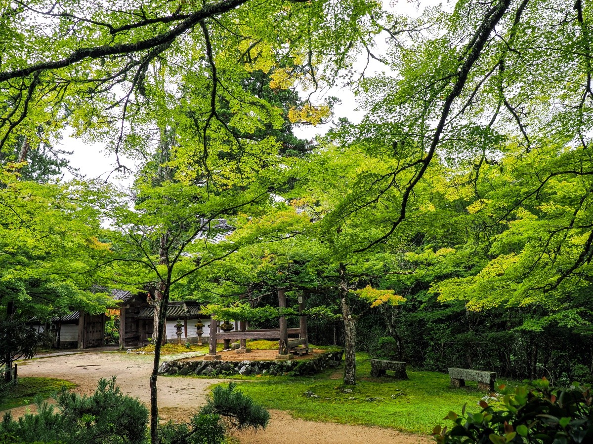 西明寺