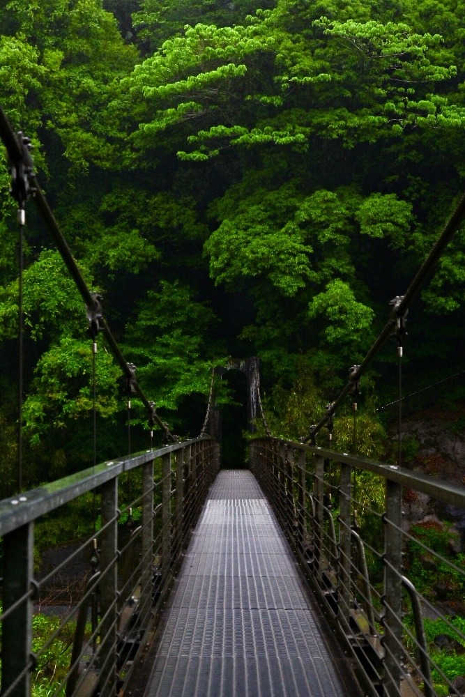 関之尾滝 吊橋