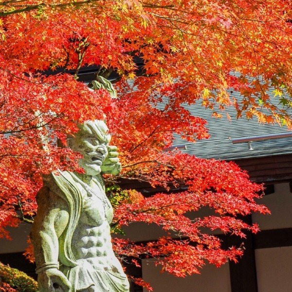 呑山観音寺