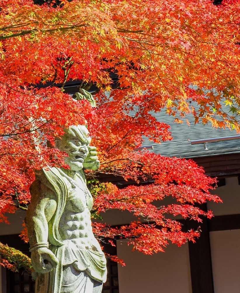 呑山観音寺