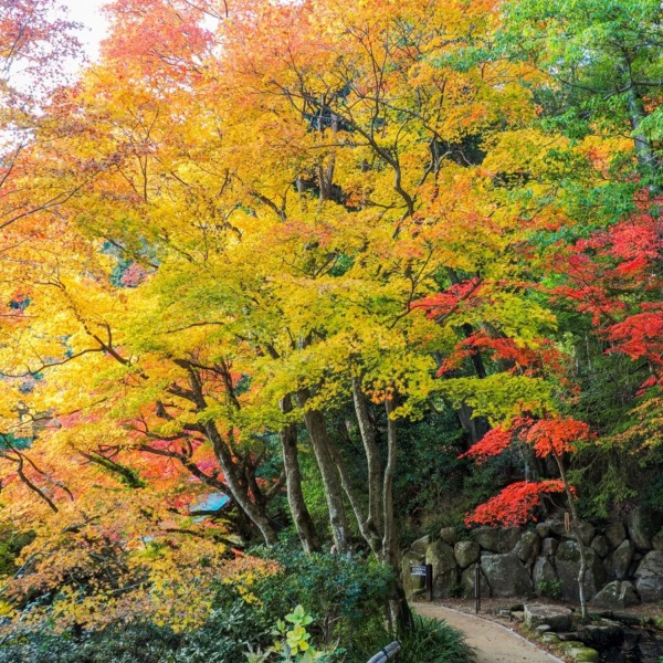 善峯寺