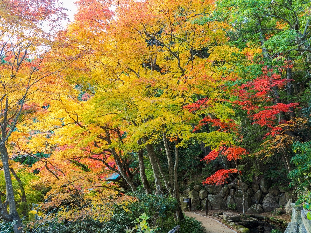 善峯寺