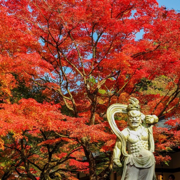 呑山観音寺