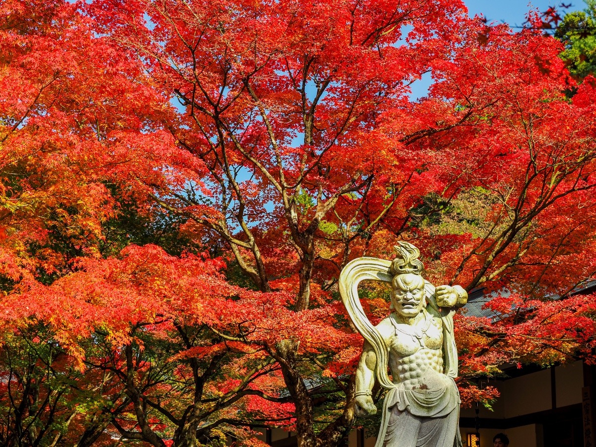 呑山観音寺