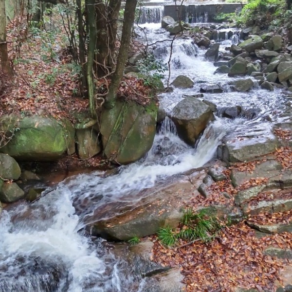 滑石渓流の石段の滝