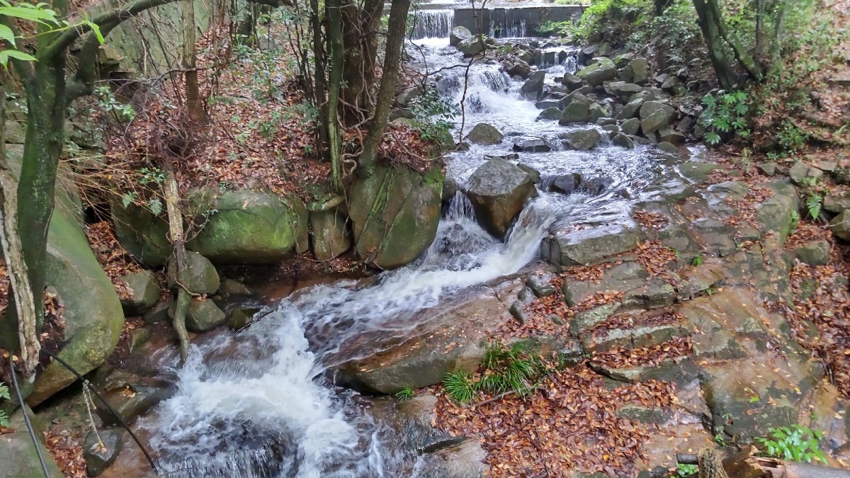滑石渓流の石段の滝