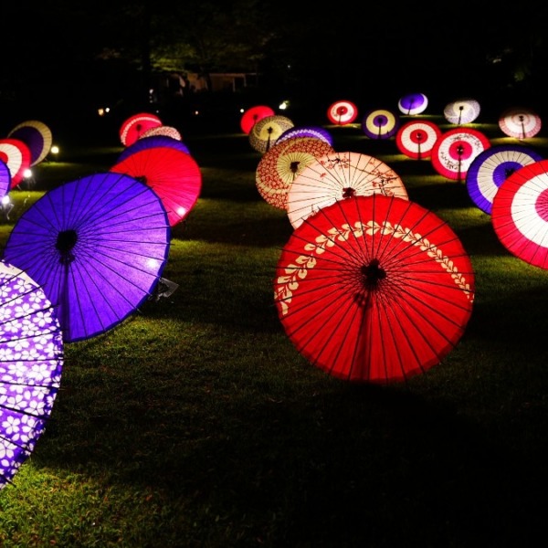 日本庭園2020/和傘ライトアップ彩✨