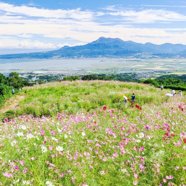白木峰高原