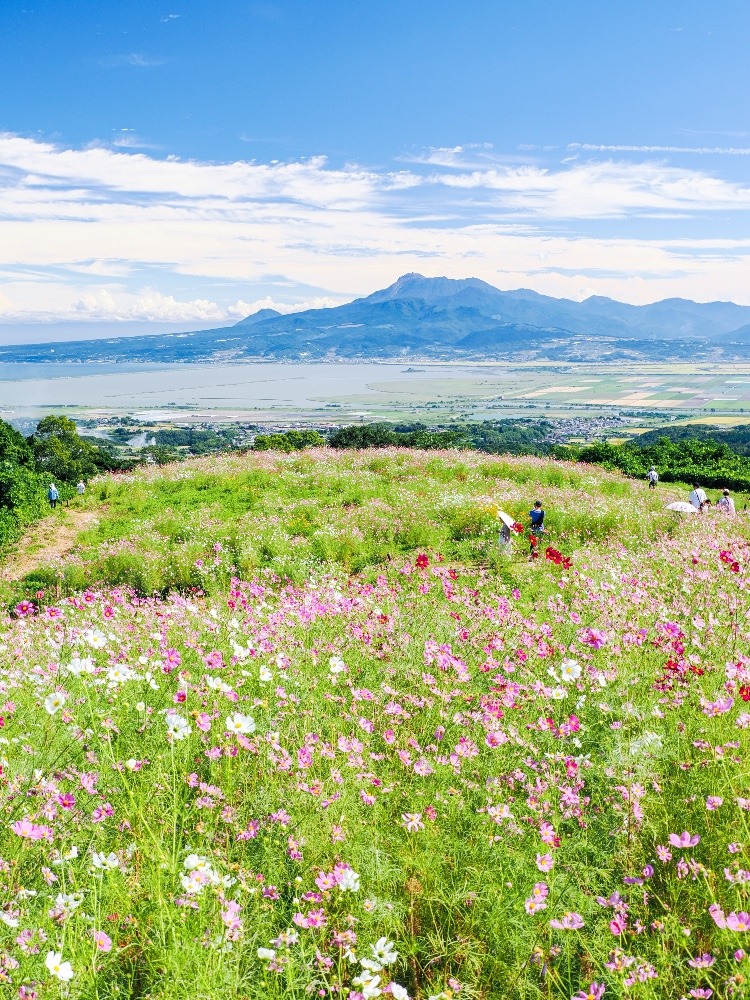 白木峰高原