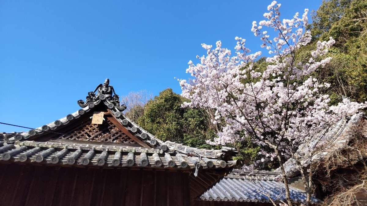 軍神社の烏天狗と桜