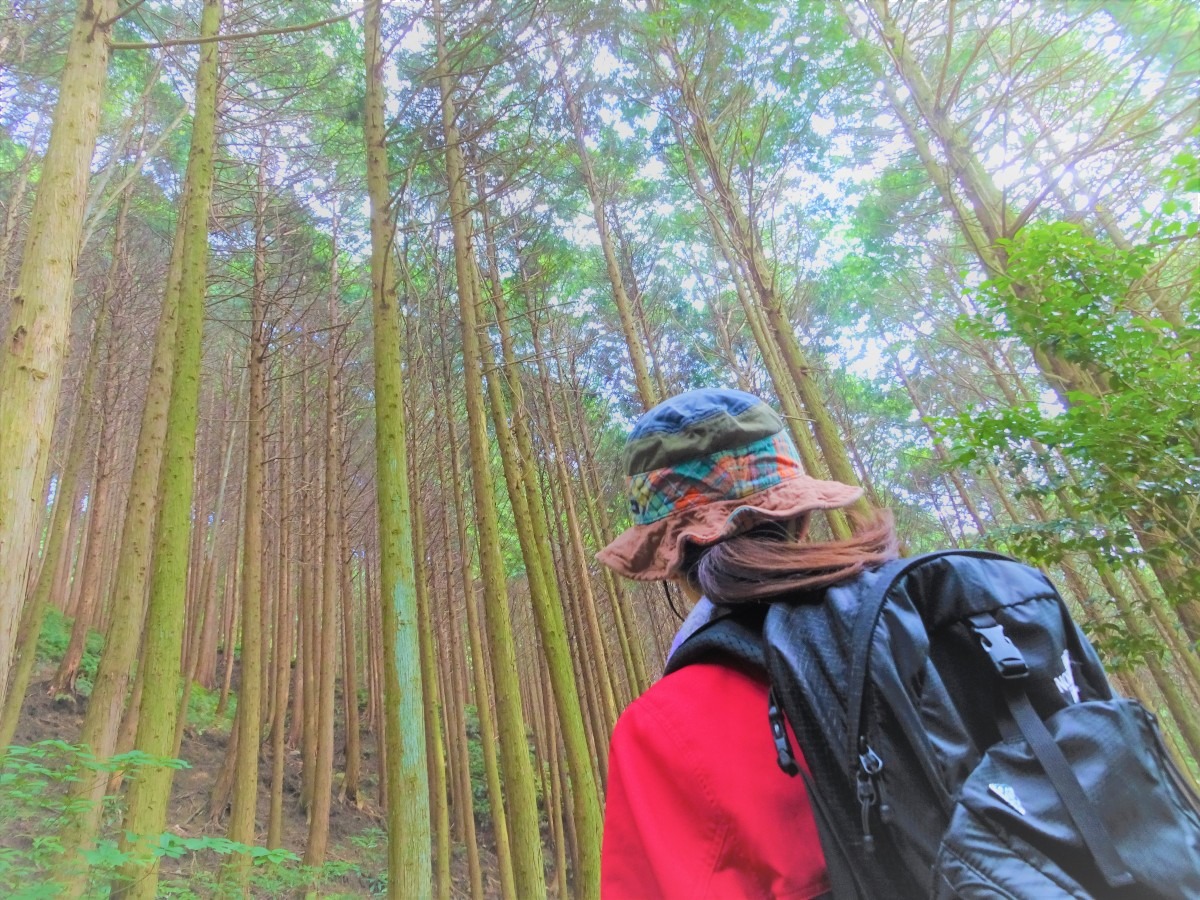 【野呂山】広島から気軽に行ける森林浴スポット！