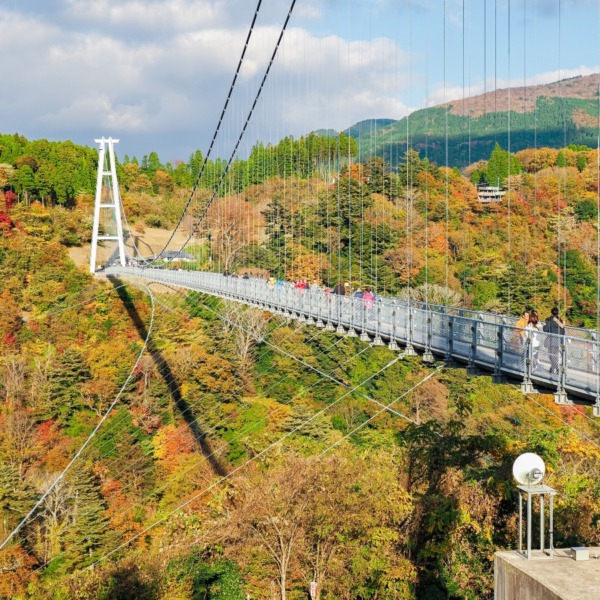 九重大吊り橋