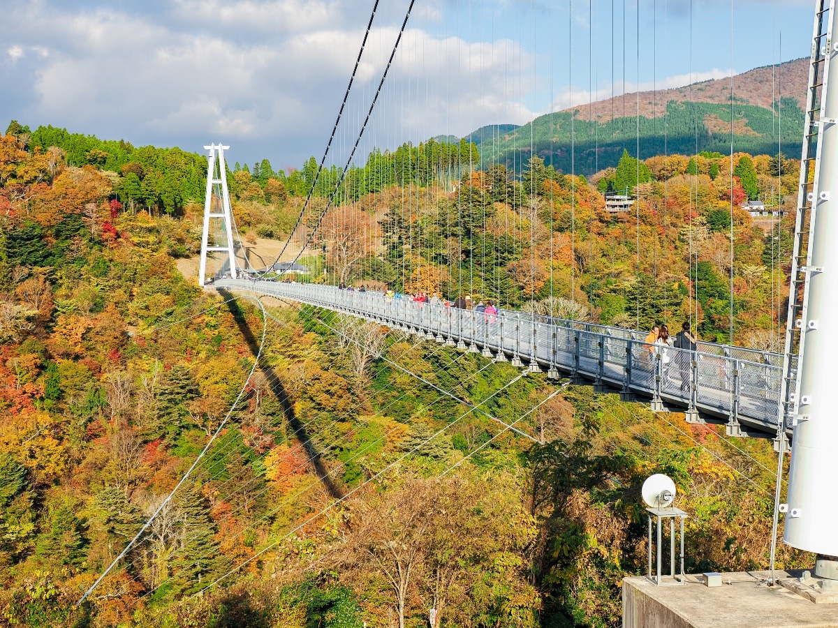 九重大吊り橋