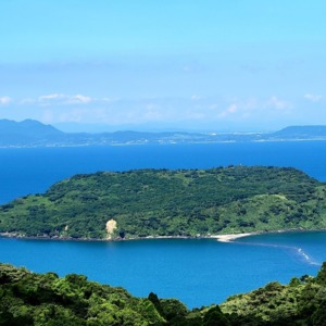 知林ヶ島