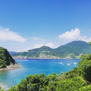 坊ノ津の海