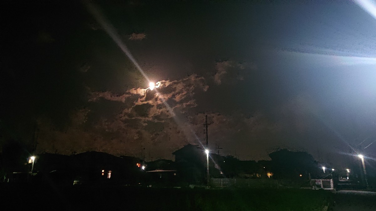 近所の夜景