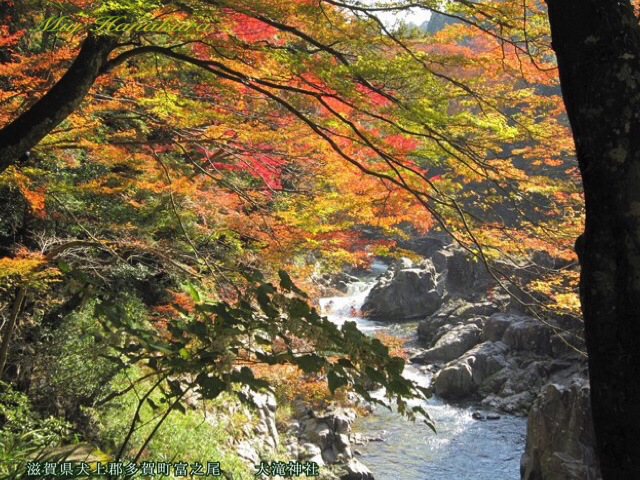 大瀧神社:紅葉の大蛇ヶ淵