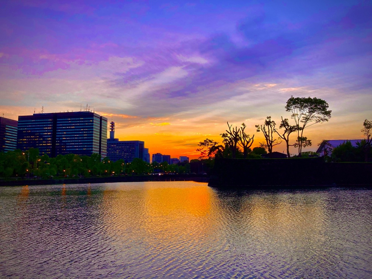 皇居夕景