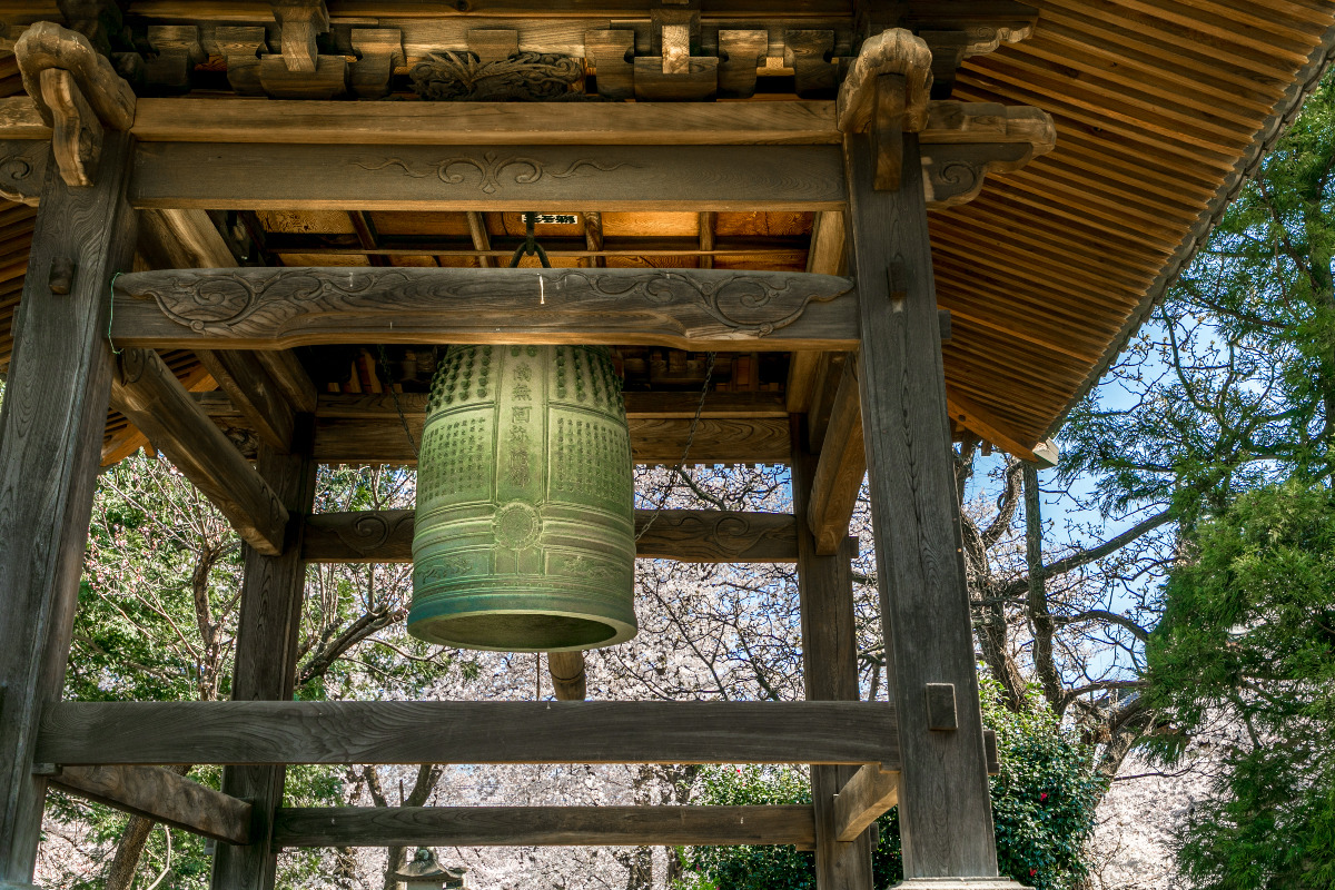 鴻巣 勝願寺の鐘つき堂と桜