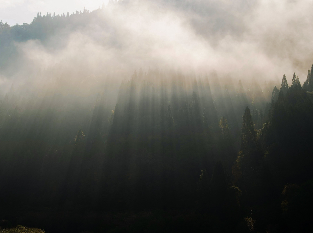 九頭竜湖の朝靄