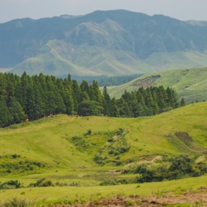 草千里
