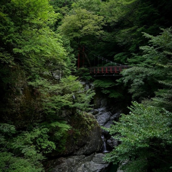 『渓谷に架かる吊橋』
