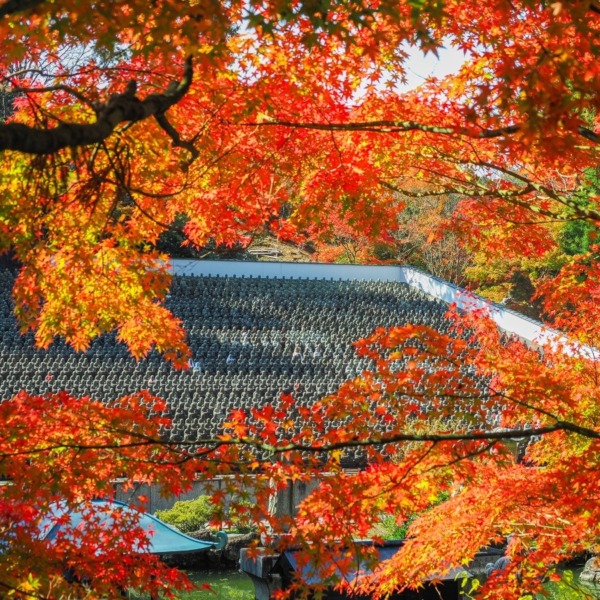 呑山観音寺