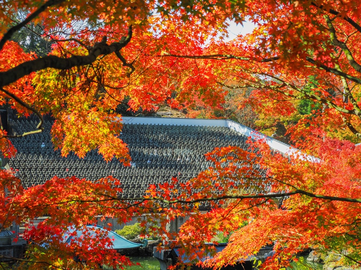 呑山観音寺