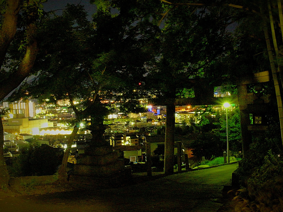 岩滝神社の鳥居と夜景