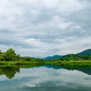 めだか池（高知県日高村）