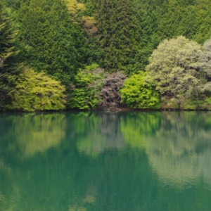 「南伊奈ヶ湖の新緑」