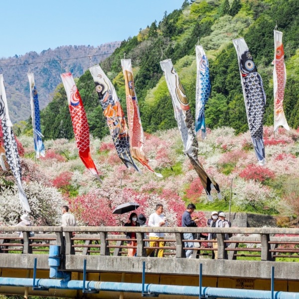 花桃の里