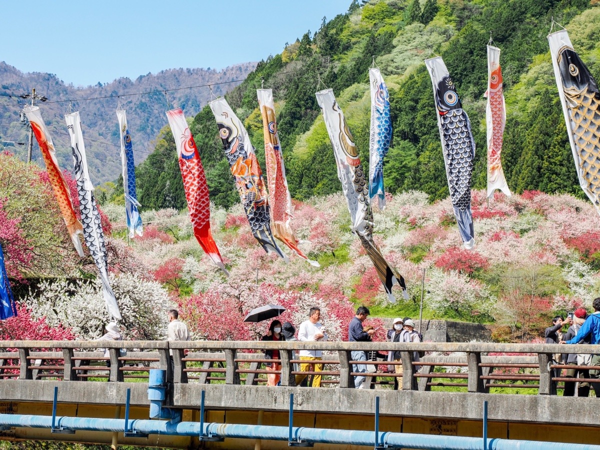 花桃の里