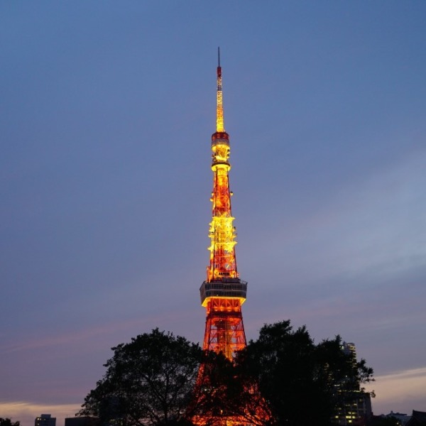 東京タワー夕景2020彩✨