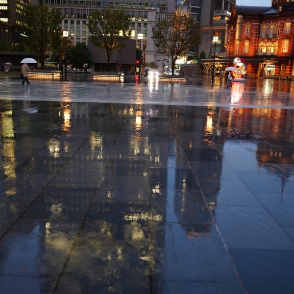 東京駅前の水面反射✨:黄金の蜃気楼？