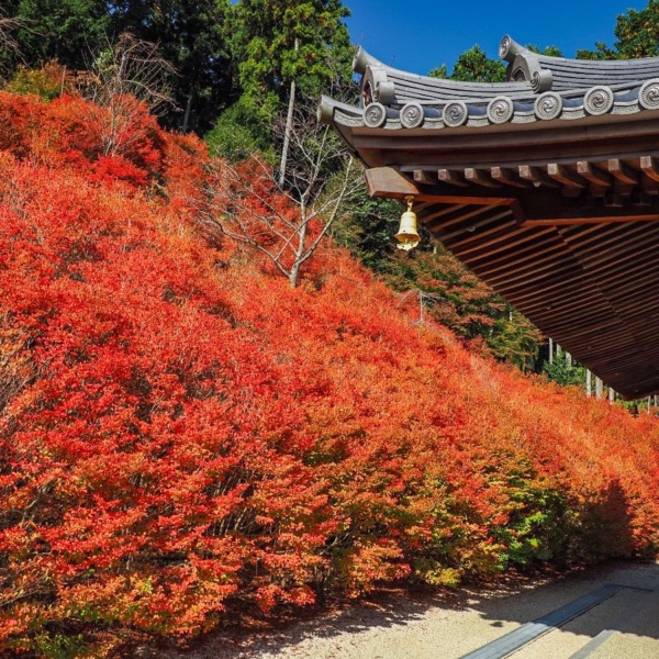 呑山観音寺