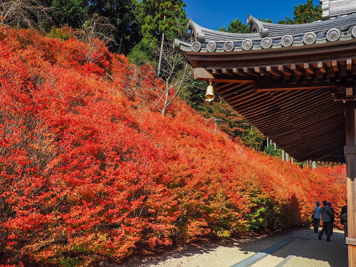 呑山観音寺