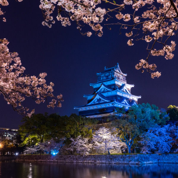 夜桜と広島城