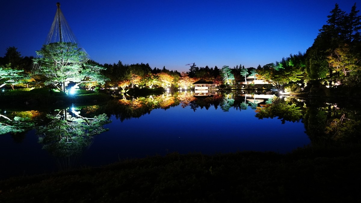 昭和記念公園:日本庭園ライトアップ🆒