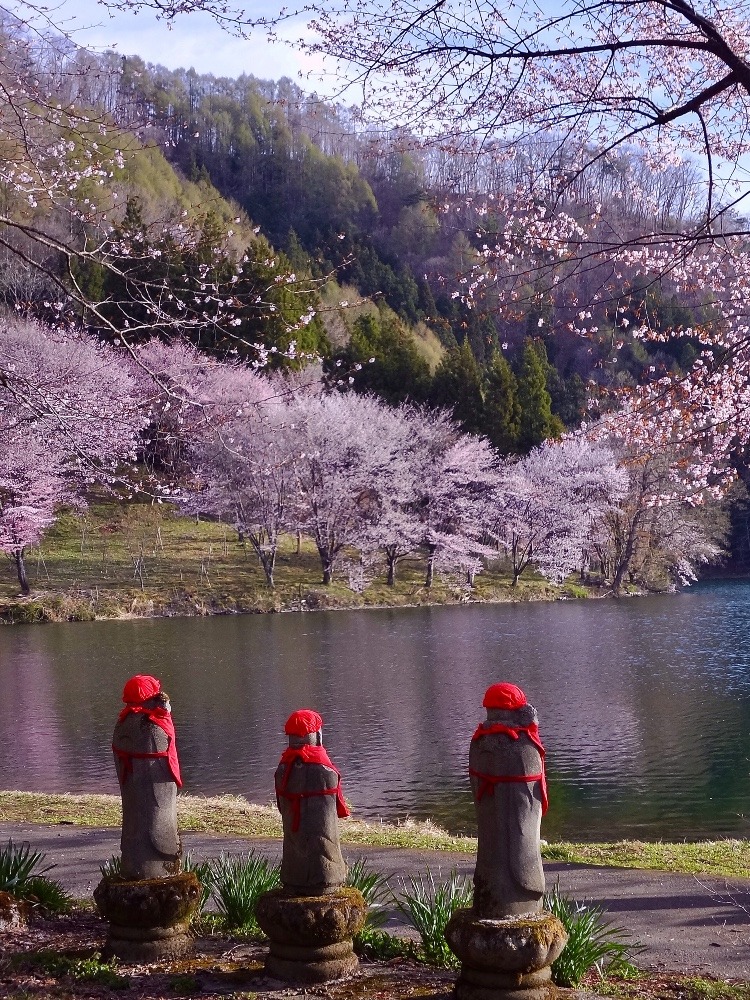中綱湖畔の桜を見つめるお地蔵様三人衆