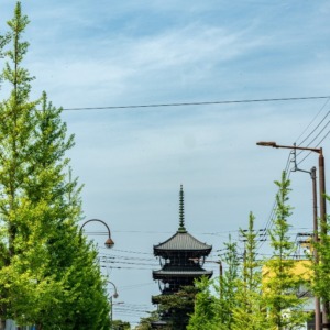 ー善通寺の五重塔ー