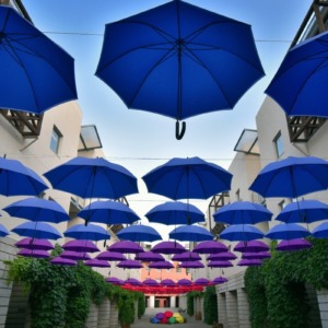 梅雨空を彩るアンブレラたち