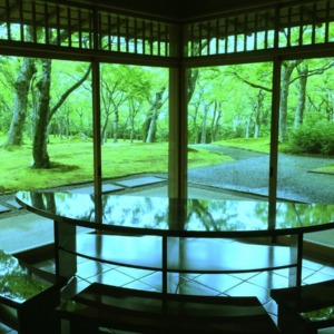 箱根美術館  苔庭