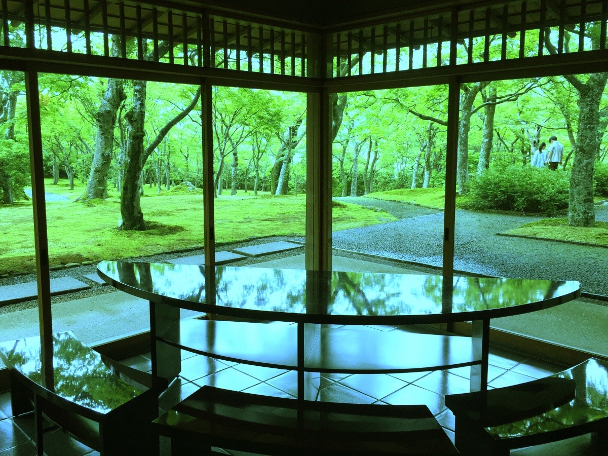 箱根美術館  苔庭