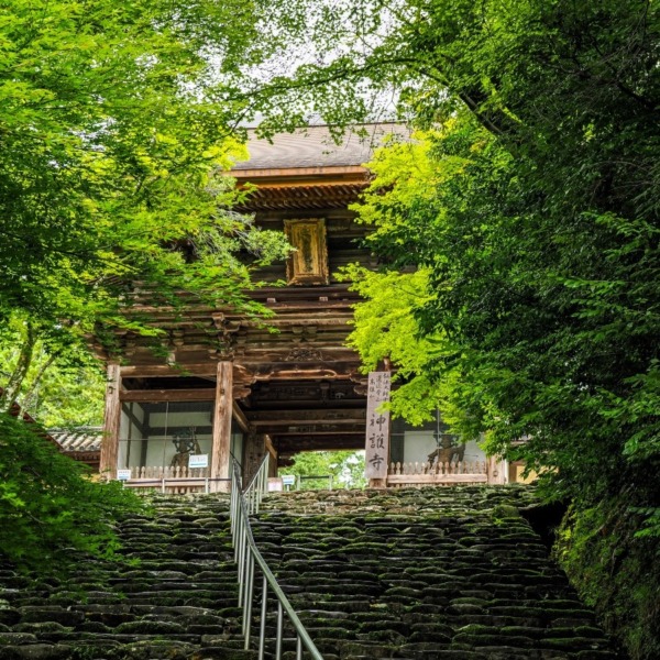 西明寺