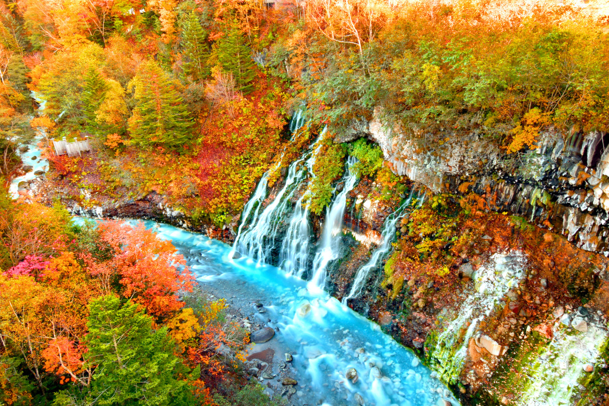 色彩豊かな白ひげの滝