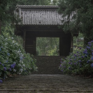 大中寺
